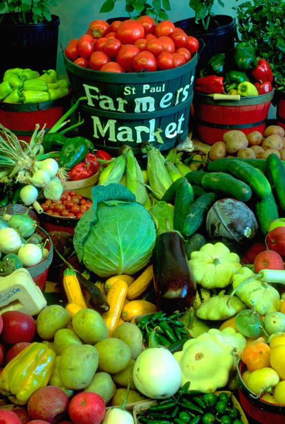 Autumn harvest of vegetables display at the State Fair St Paul Minnesota USA